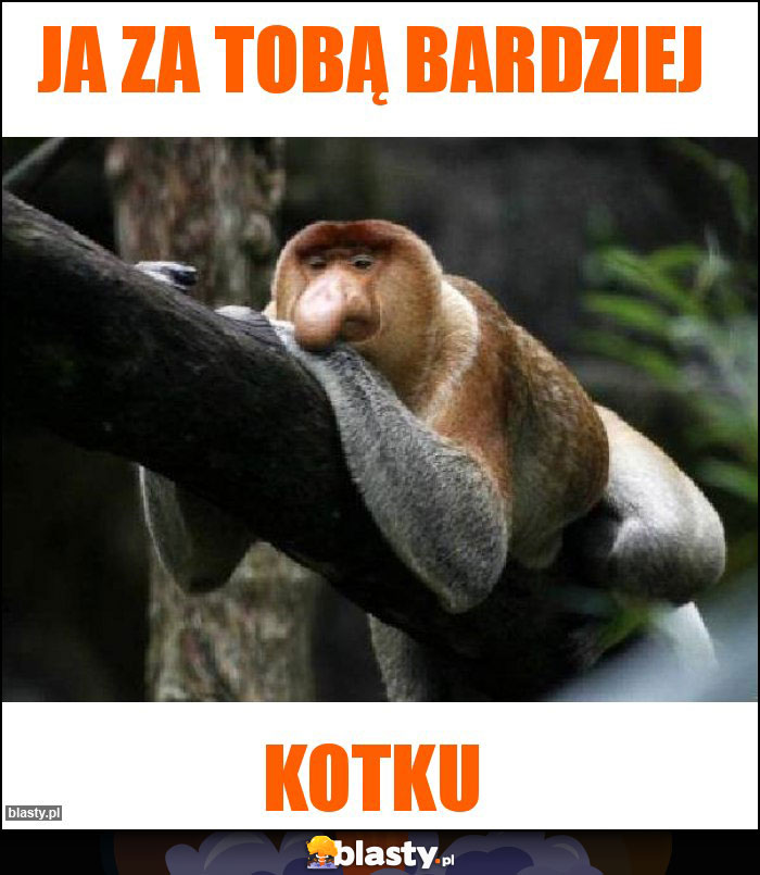 Ja za Tobą bardziej