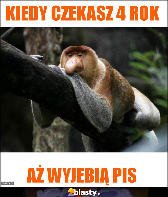 Kiedy czekasz 4 rok