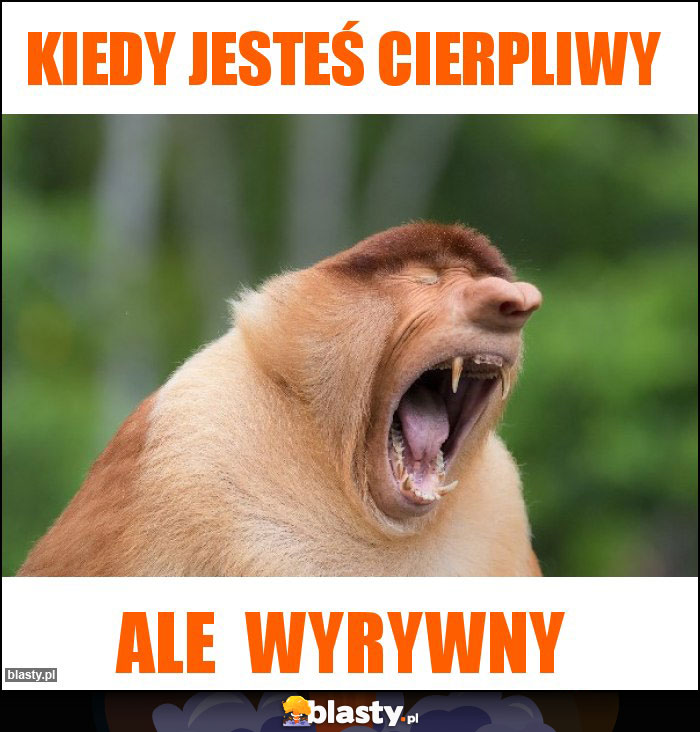 Kiedy jesteś cierpliwy