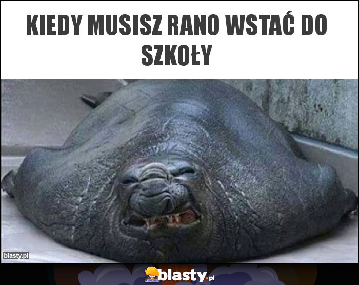 Kiedy musisz rano wstać do szkoły