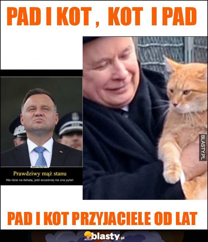 PAD i kot ,  kot  i PAD