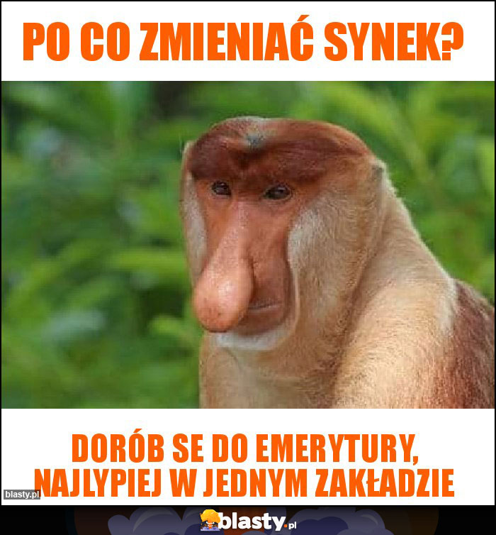 Po co zmieniać synek?