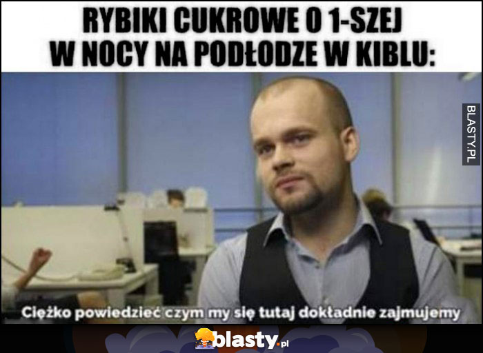 Rybiki cukrowe o 1 w nocy na podłodze w kiblu: ciężko powiedzieć czym my się tutaj dokładnie zajmujemy