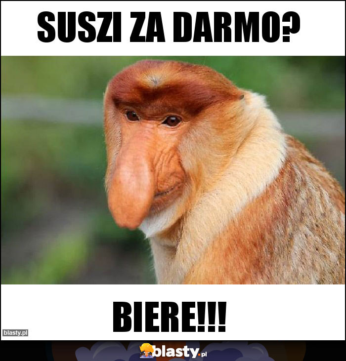 Suszi za darmo?