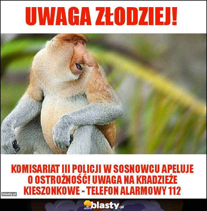 Uwaga złodziej!