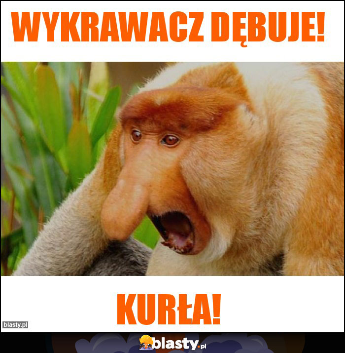 Wykrawacz dębuje!