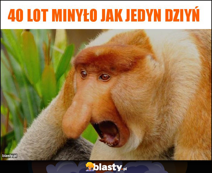 40 lot minyło jak jedyn dziyń