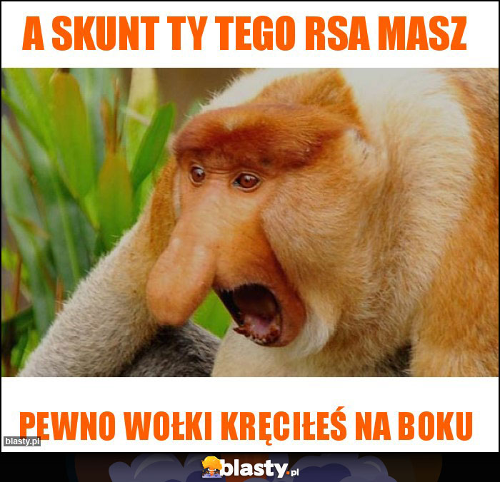 a skunt ty tego rsa masz