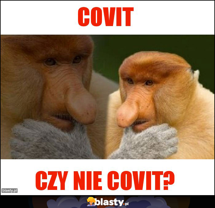 COVIT