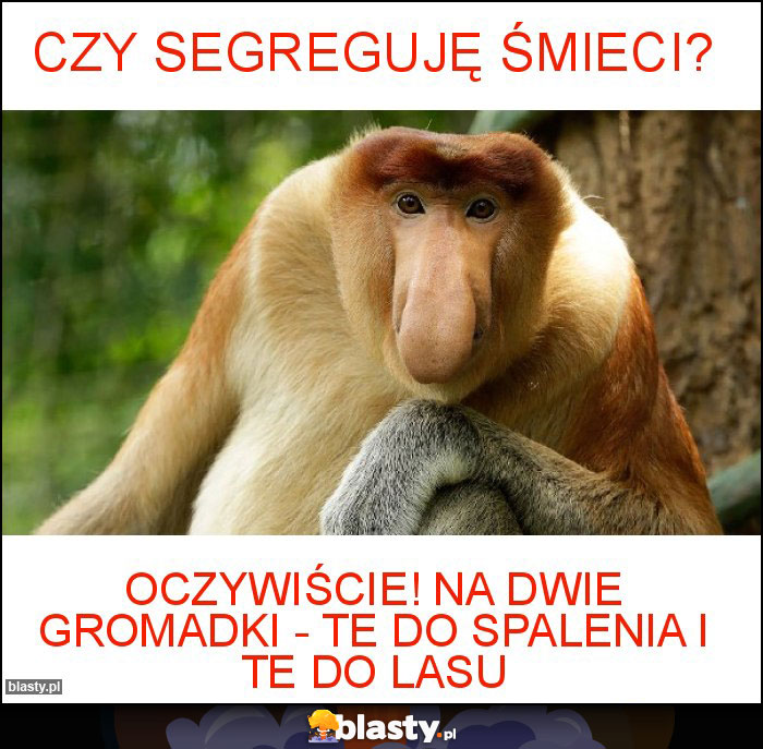 Czy segreguję śmieci?