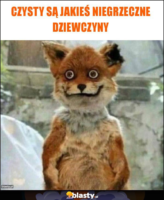 Czysty są jakieś niegrzeczne dziewczyny