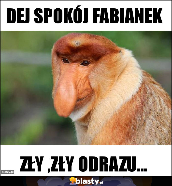 Dej spokój fabianek