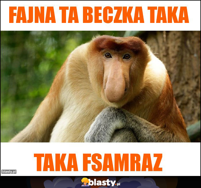 Fajna ta beczka taka