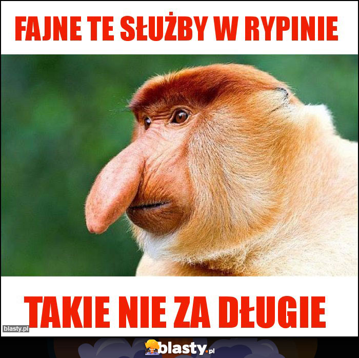 Fajne te służby w Rypinie