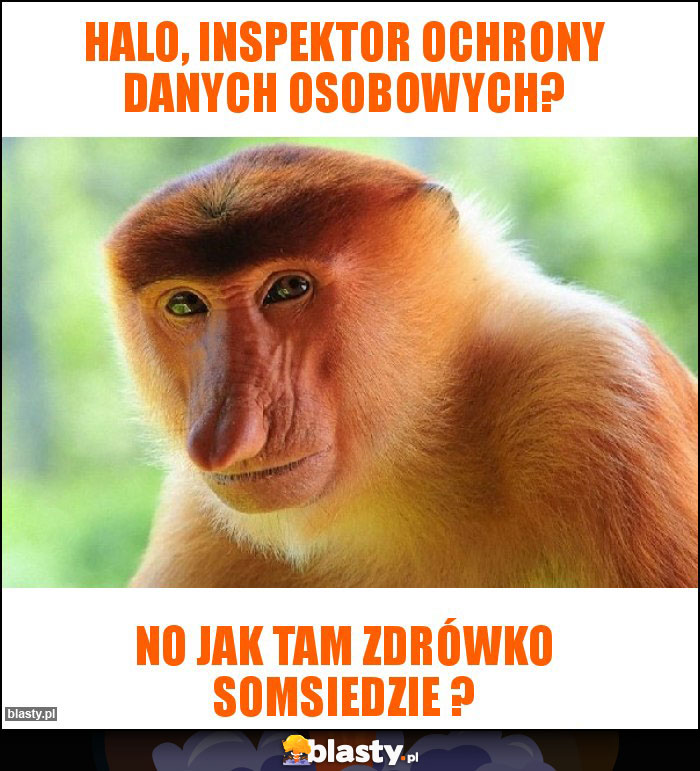 Halo, Inspektor Ochrony Danych Osobowych?