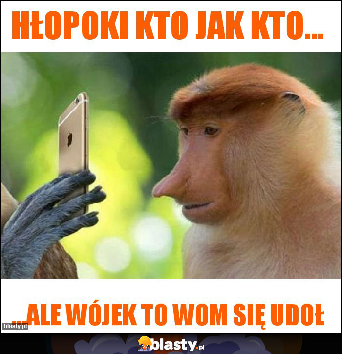 Hłopoki kto jak kto...