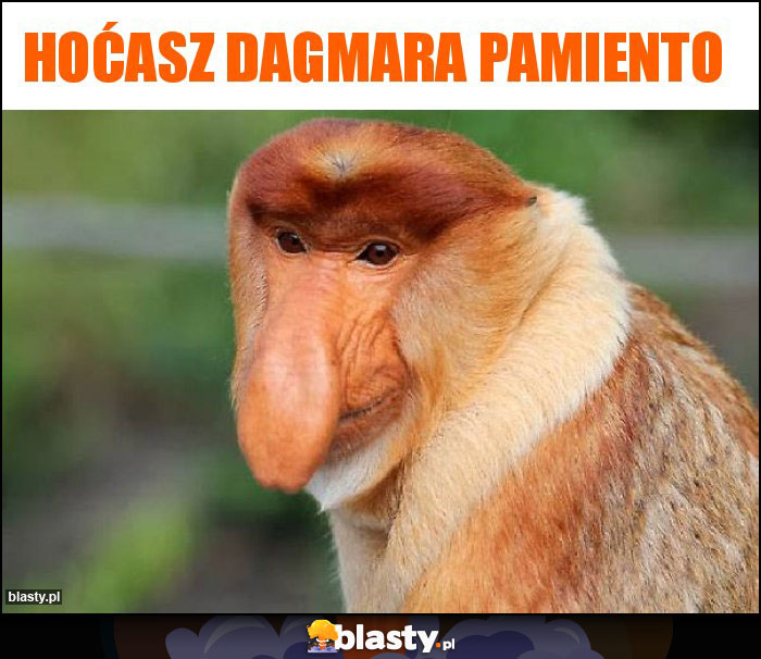 HOĆASZ Dagmara pamiento