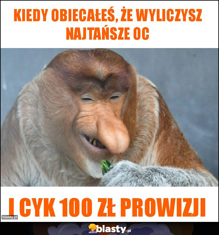 Kiedy obiecałeś, że wyliczysz najtańsze OC