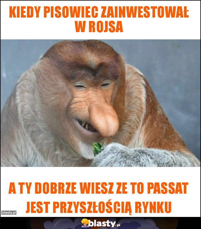 kiedy pisowiec zainwestował w rojsa