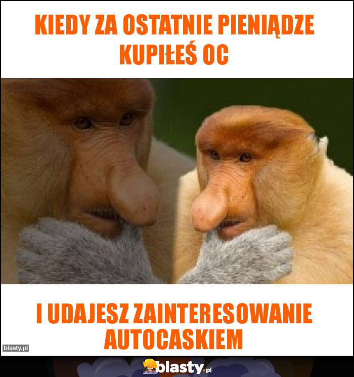 Kiedy za ostatnie pieniądze kupiłeś OC