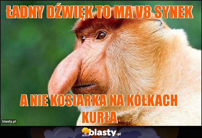 Ładny dźwięk to ma V8 synek