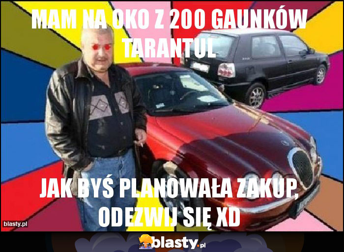 mam na oko z 200 gaunków tarantul