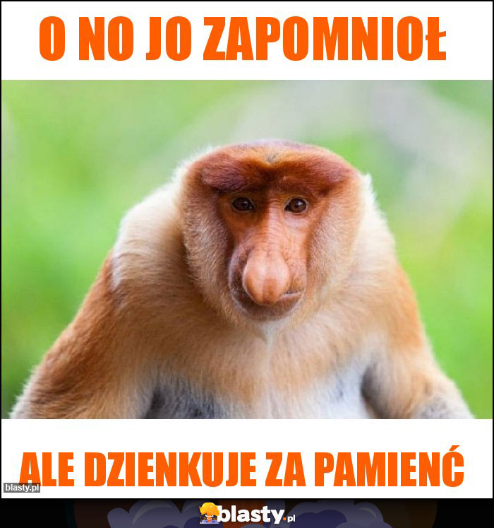 O NO JO ZAPOMNIOŁ