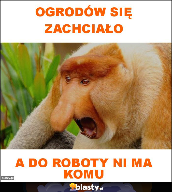 Ogrodów się zachciało