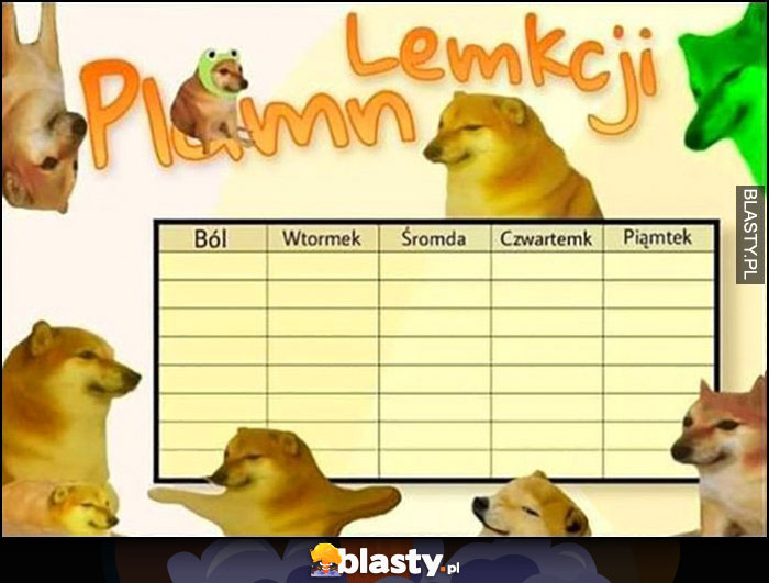 Plan lekcji pies pieseł doge