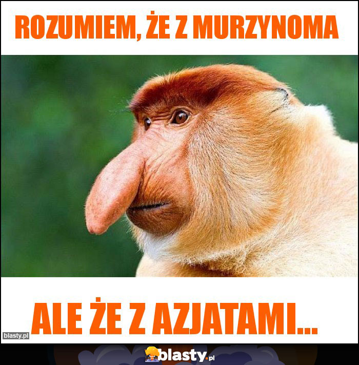 Rozumiem, że z murzynoma