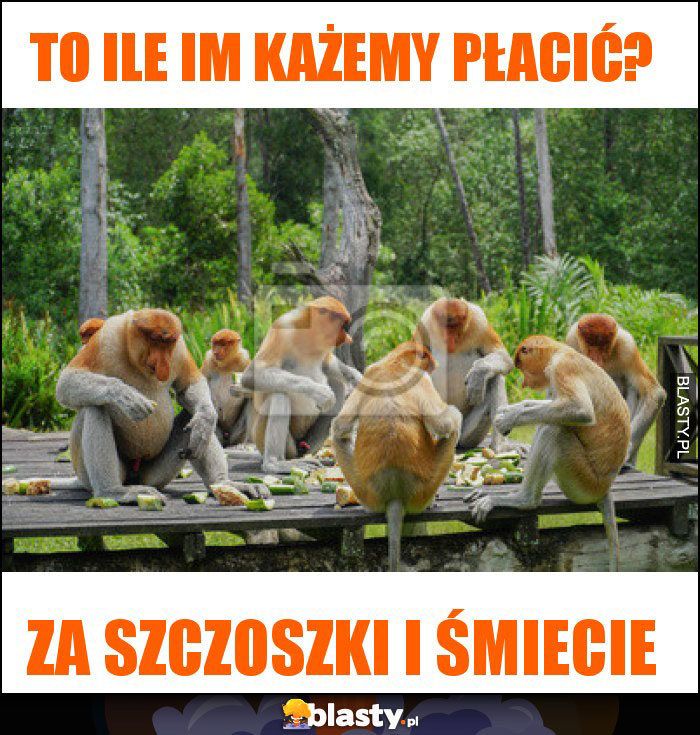 to ile im każemy płacić?