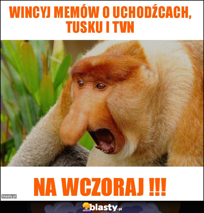 WINCYJ MEMÓW O UCHODŹCACH, TUSKU I TVN