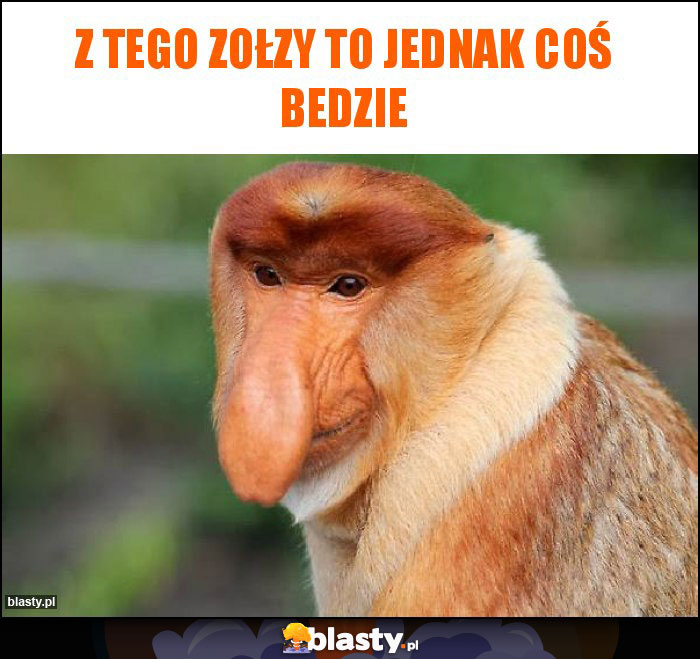 Z tego Zołzy to jednak coś bedzie