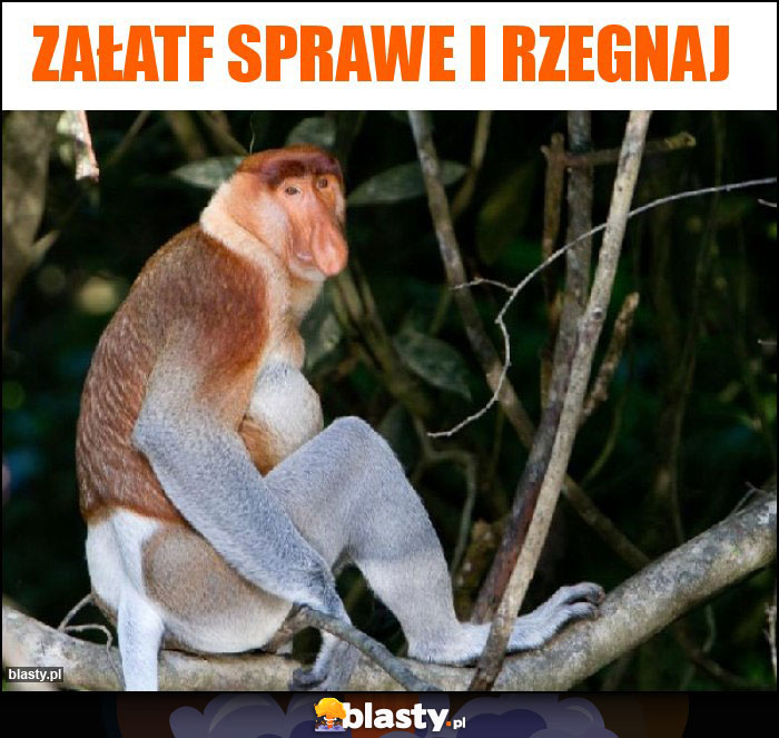 Załatf sprawe i rzegnaj