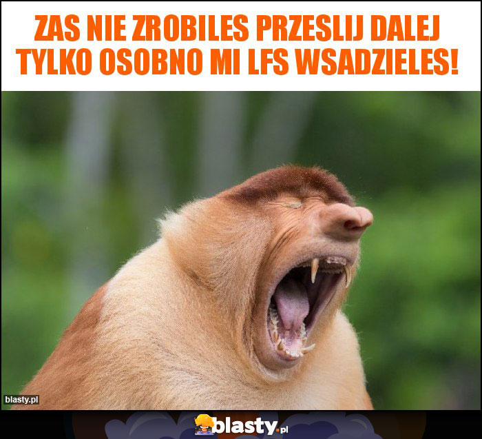 Zas nie zrobiles przeslij dalej tylko osobno mi lfs wsadzieles!