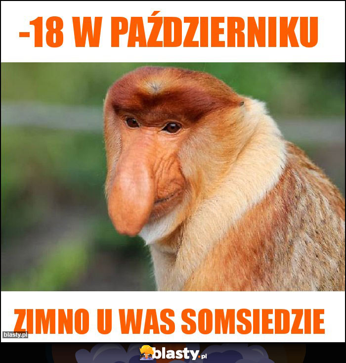 -18 w październiku