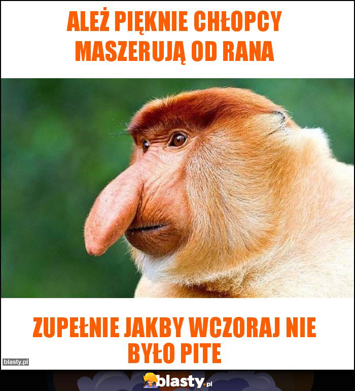 Ależ pięknie chłopcy maszerują od rana