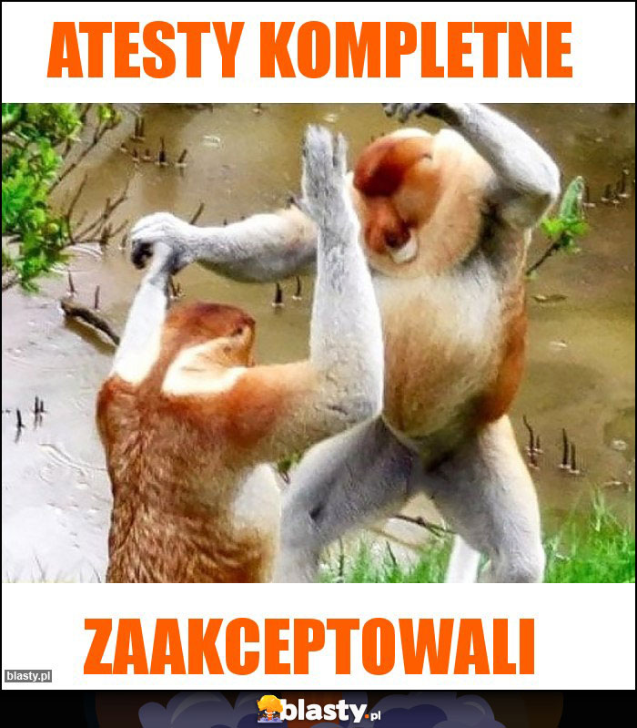 Atesty kompletne