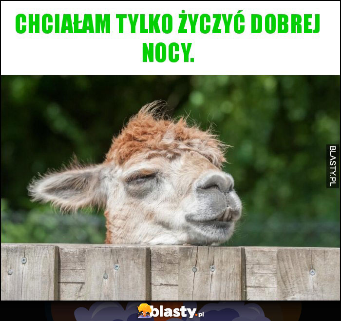 Chciałam tylko życzyć dobrej nocy.