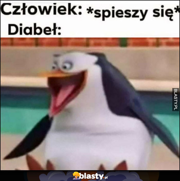 Człowiek: śpieszy się, diabeł: cieszy się pingwin