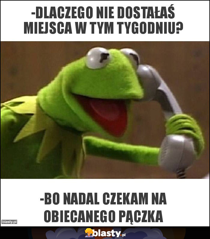 -dlaczego nie dostałaś miejsca w tym tygodniu?