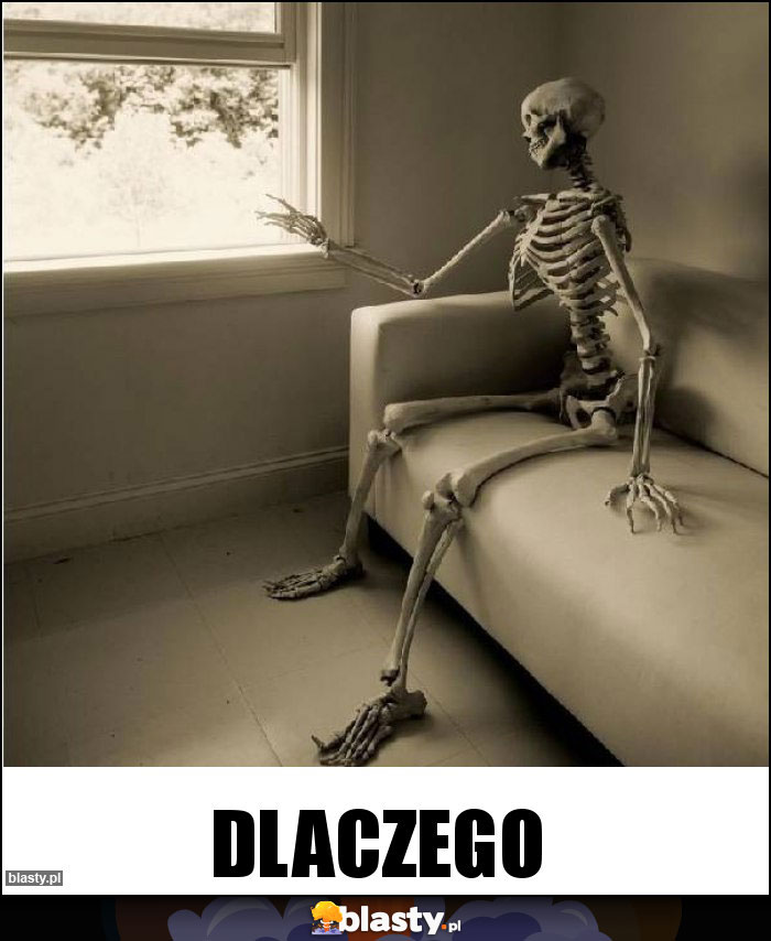 Dlaczego