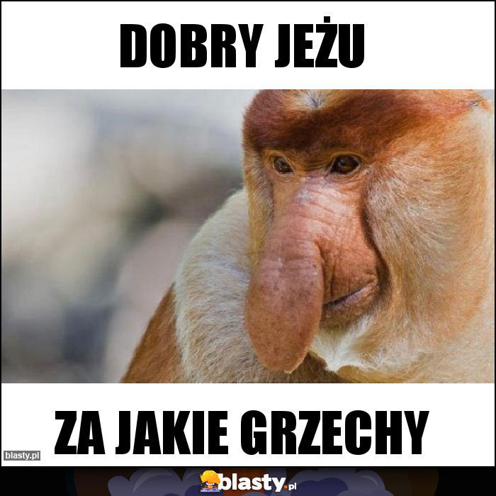 Dobry JEŻU