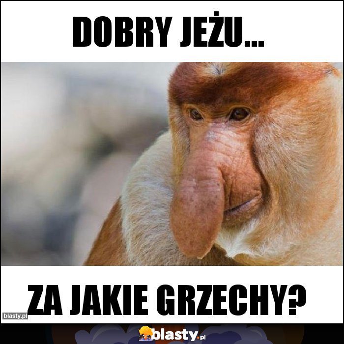 DOBRY JEŻU...