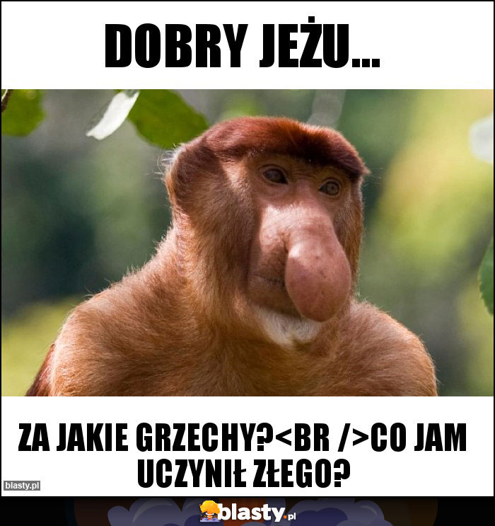 Dobry jeżu...