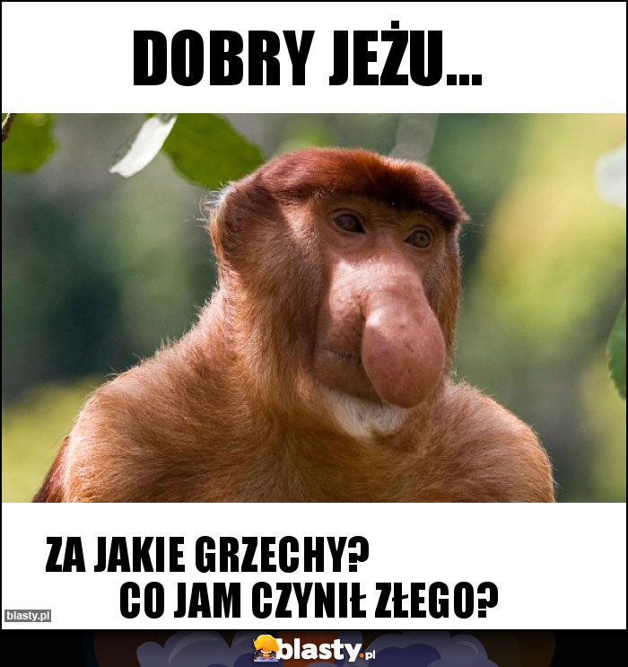 Dobry jeżu...