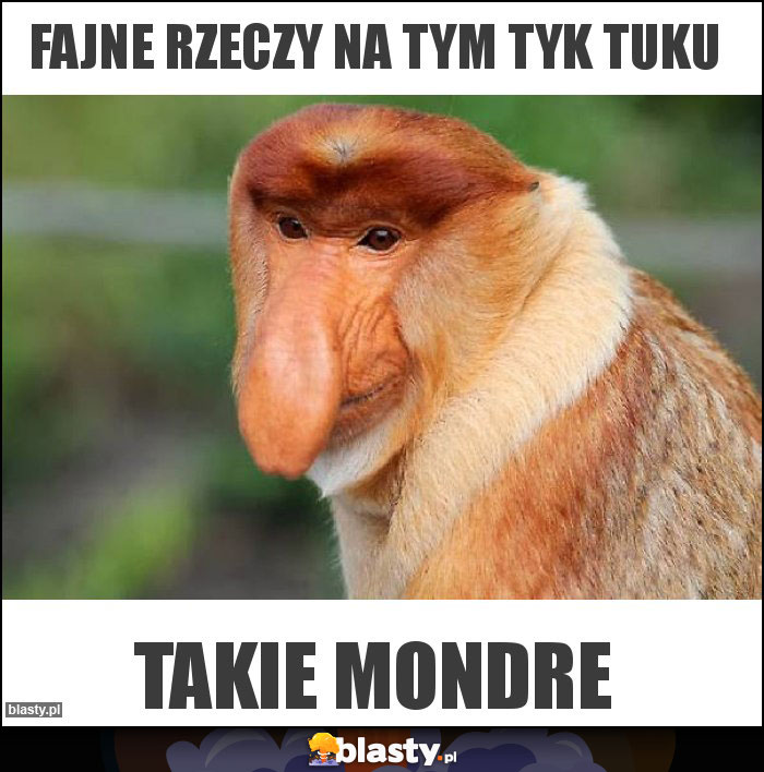 Fajne rzeczy na tym tyk tuku