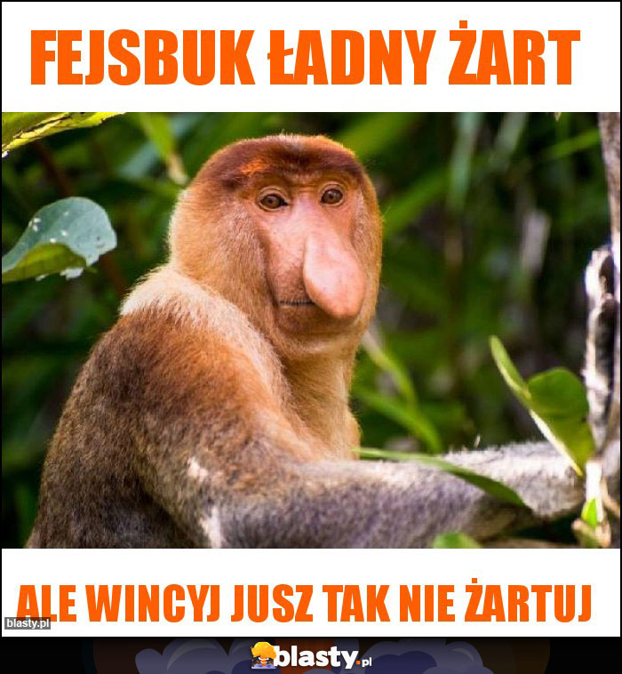 Fejsbuk ładny żart