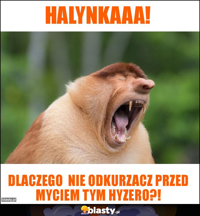 Halynkaaa!