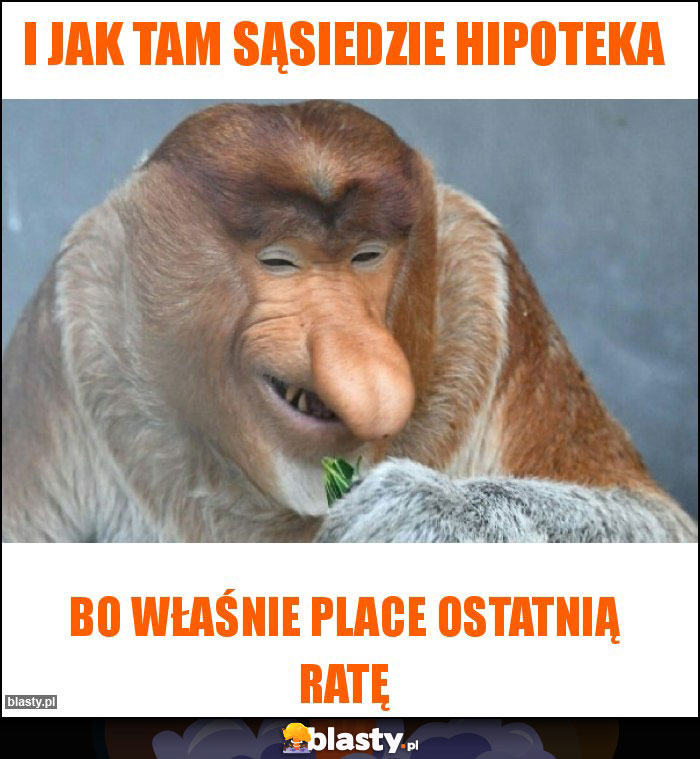 I jak tam sąsiedzie hipoteka